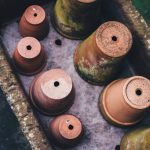 The Charm of Terracotta Pots: How to Use and Care for These Traditional Containers